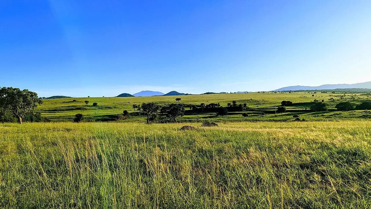 A slower safari in the north