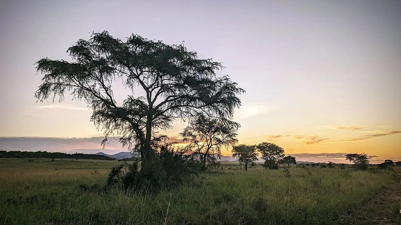 Kidepo Valley, Uganda