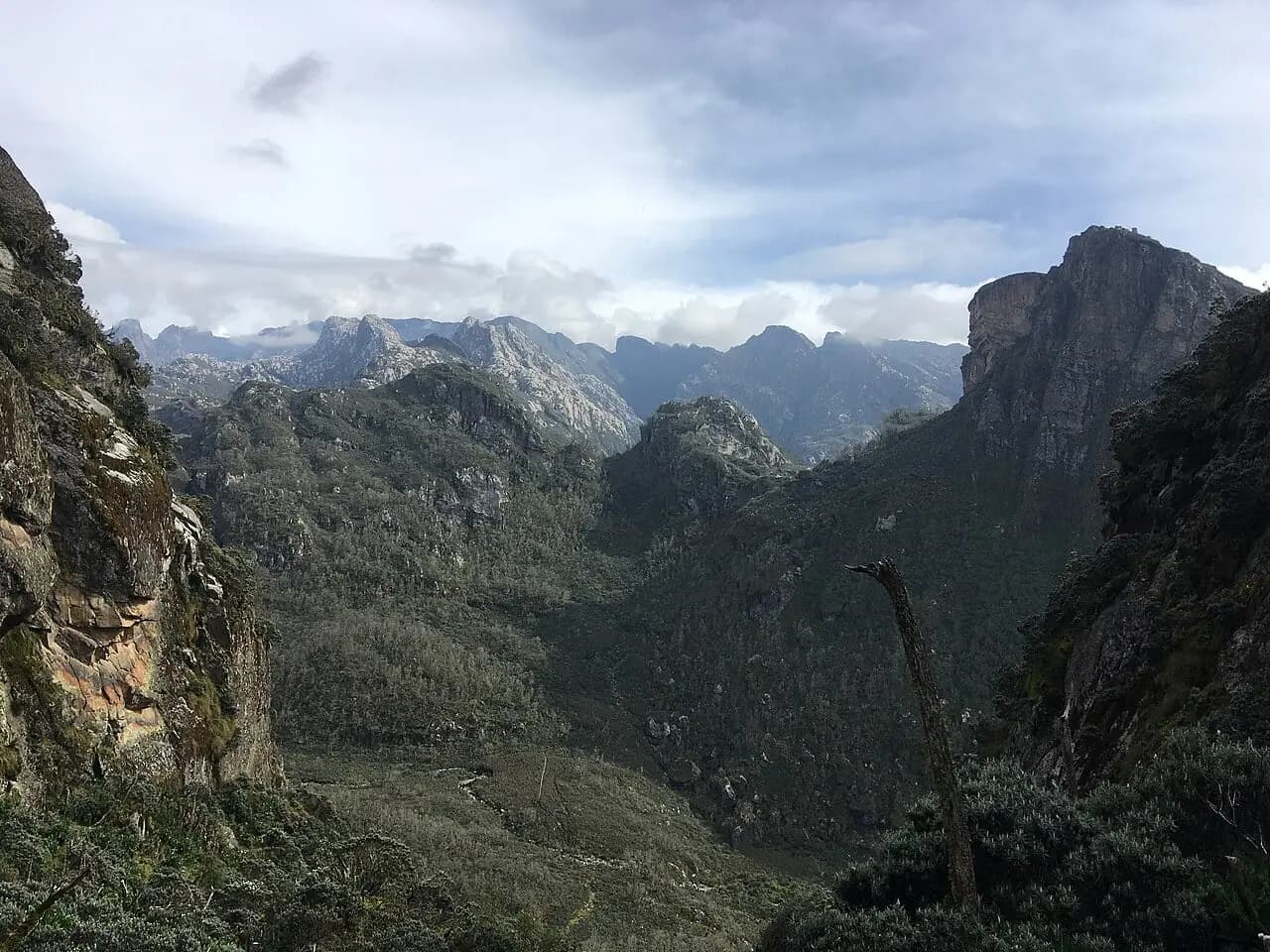 Green mountain landscape in Uganda’s Rwenzori region