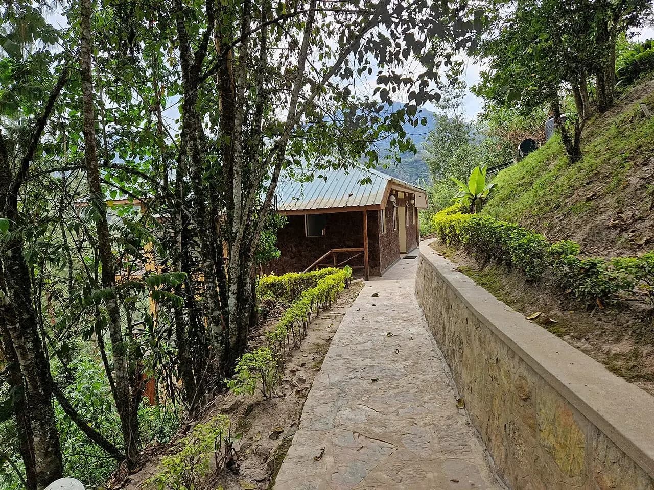 Bwindi Forest stay concept; illustrative Uganda lodging photograph, not this sample property